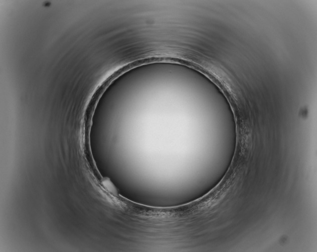 X0000099301076200805090949