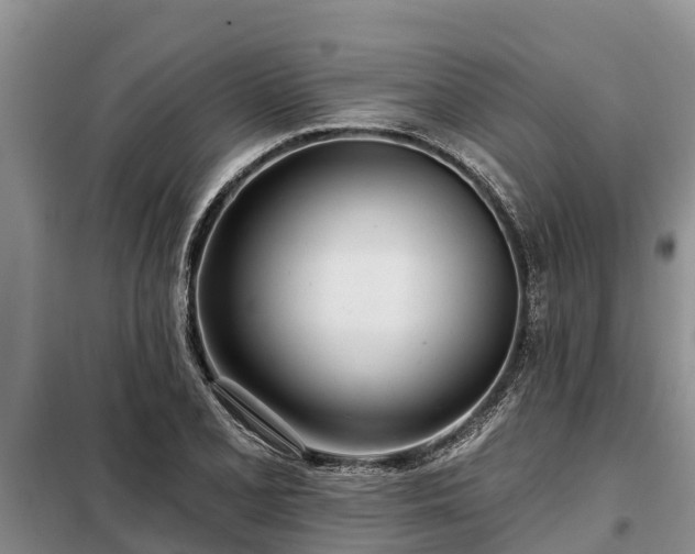 X0000099301077200805090949