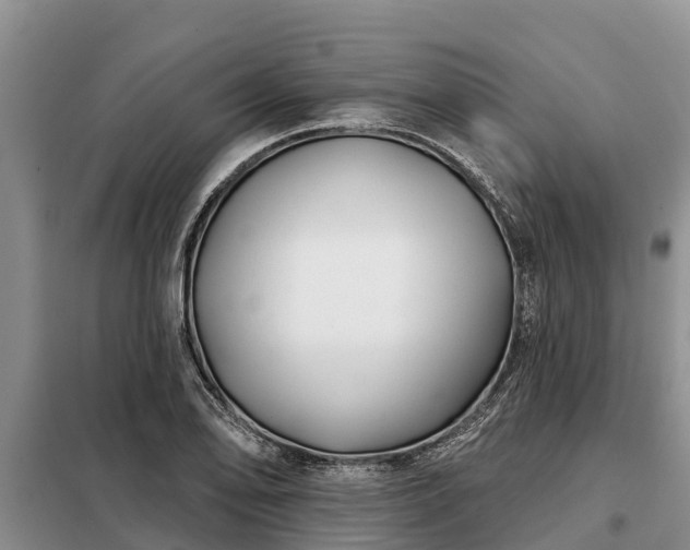 X0000099301078200805090949