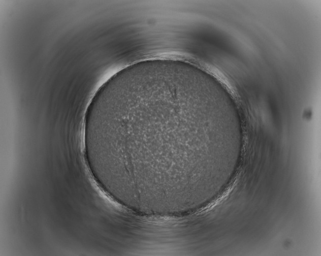 X0000099301079200805090949