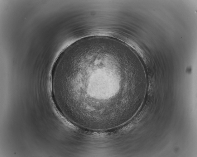 X0000099301080200805090949