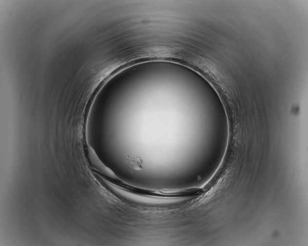 X0000099301081200805090949