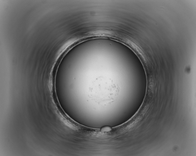 X0000099301082200805090949