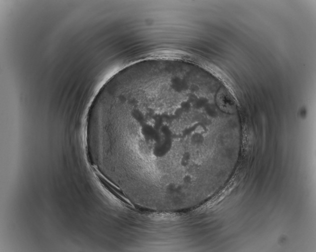 X0000099301083200805090949