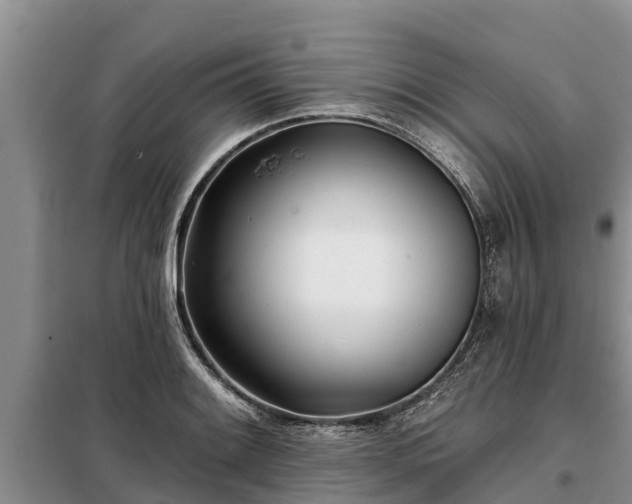 X0000099301084200805090949