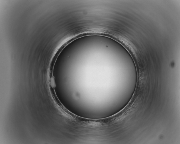 X0000099301085200805090949