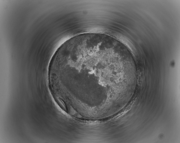 X0000099301087200805090949