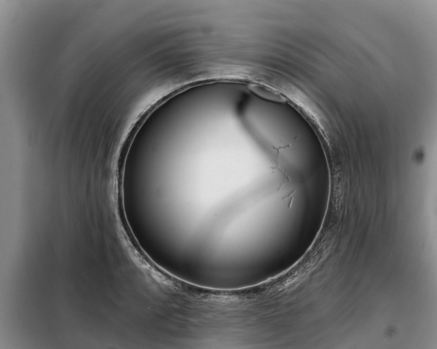 X0000099301088200805090948