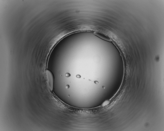 X0000099301089200805090948