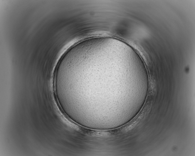 X0000099301090200805090948