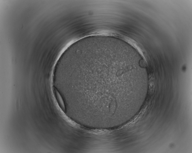 X0000099301091200805090948