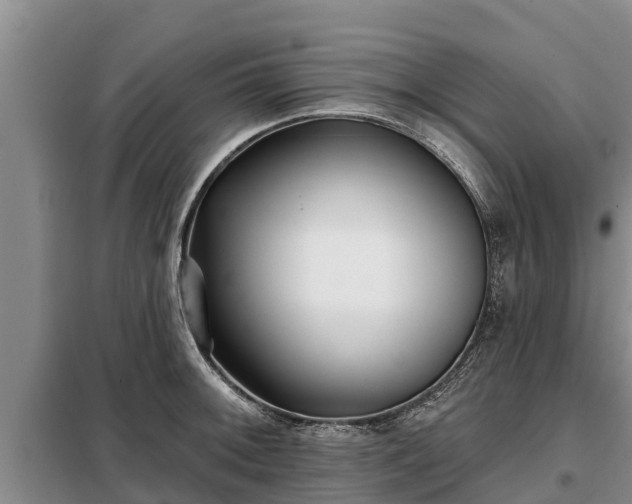 X0000099301092200805090948