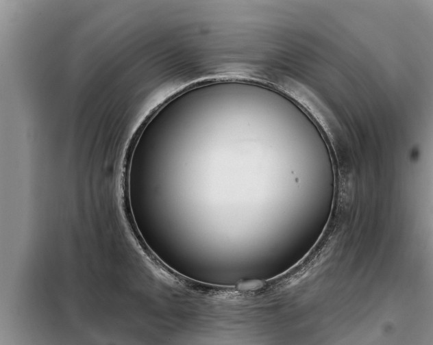 X0000099301093200805090948