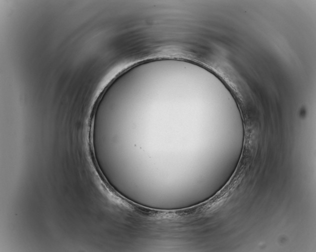 X0000099301094200805090948