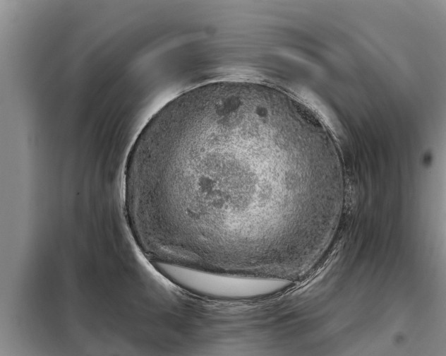 X0000099301095200805090948