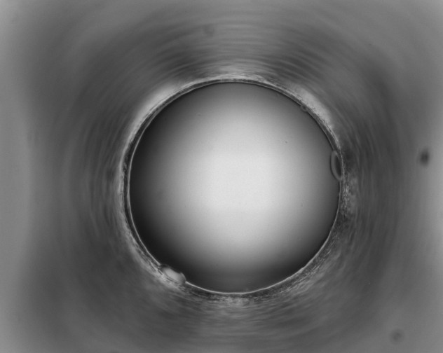 X0000099301096200805090948