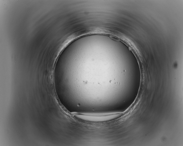 X0000099301097200805090948