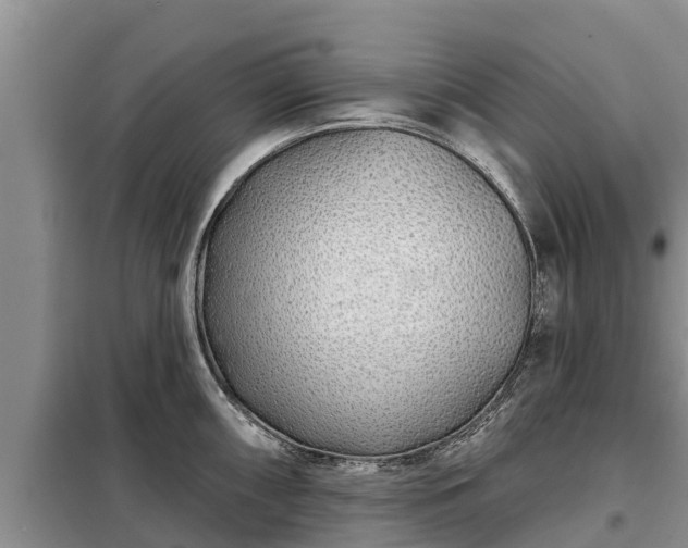 X0000099301098200805090948