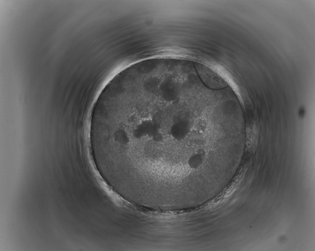 X0000099301099200805090948