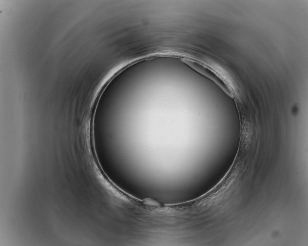 X0000099301100200805090948