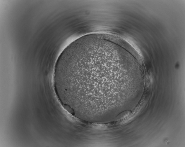 X0000099301101200805090948