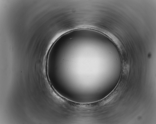 X0000099301102200805090948