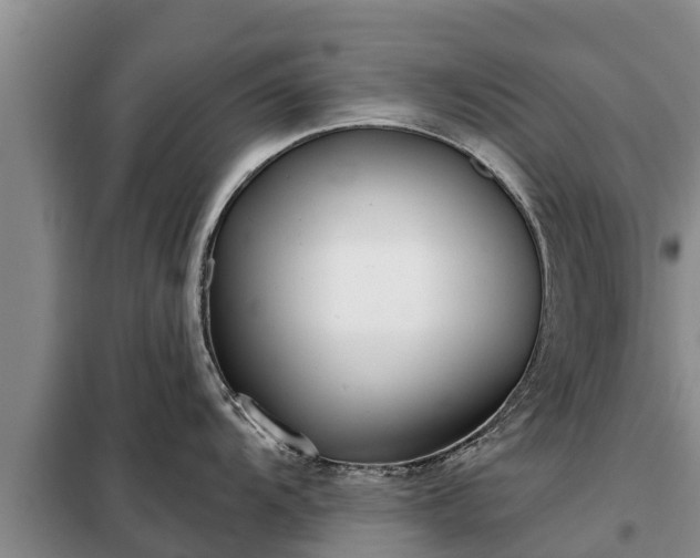 X0000099301104200805090948