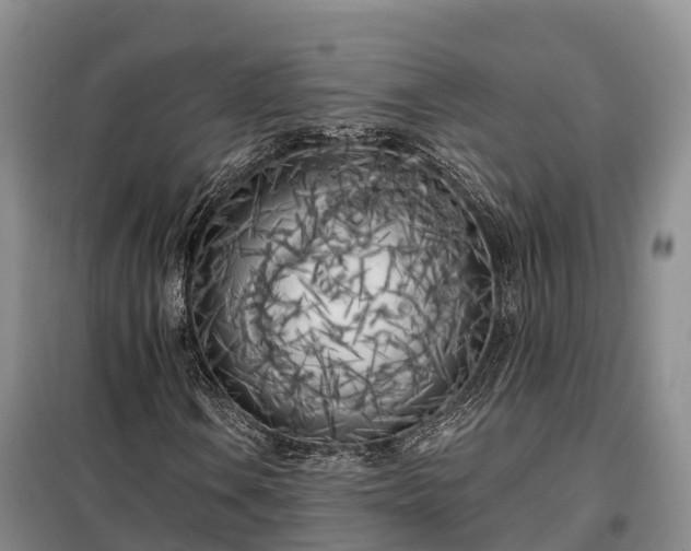 X0000099301106200805090947