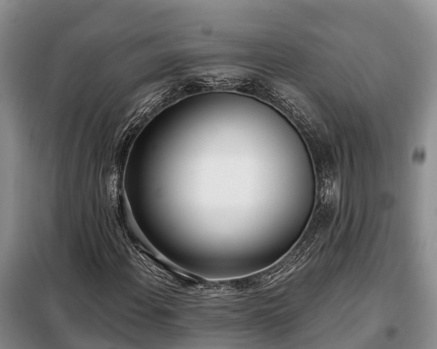 X0000099301108200805090947