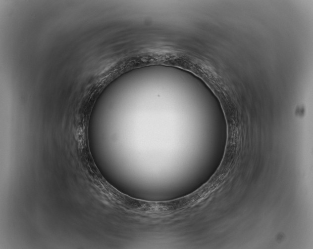 X0000099301109200805090948