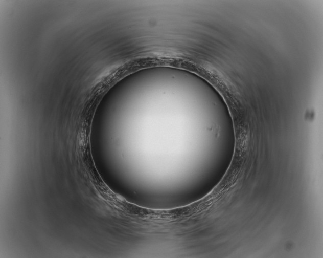 X0000099301110200805090948