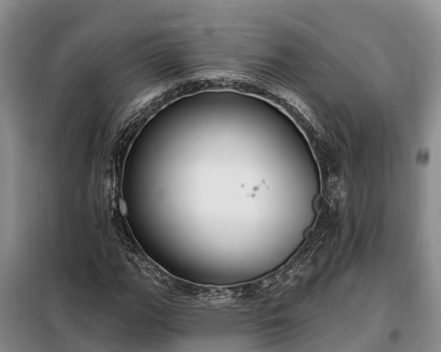 X0000099301111200805090948