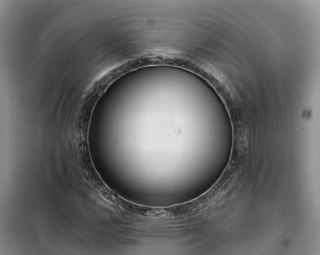 X0000099301112200805090948