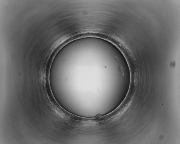 X0000099301113200805090948