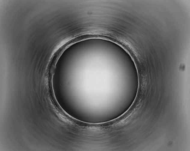 X0000099301114200805090948