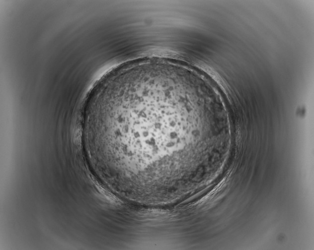 X0000099301115200805090948