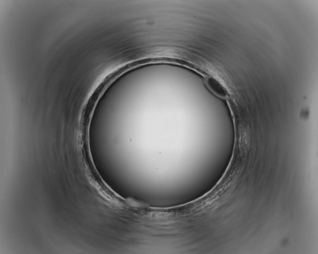 X0000099301116200805090948