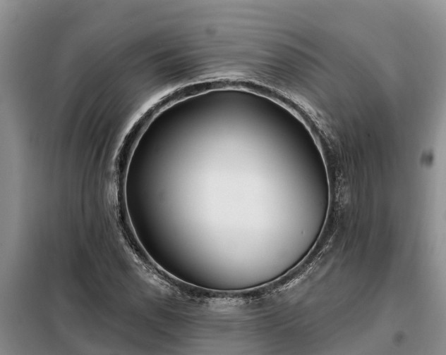 X0000099301118200805090948