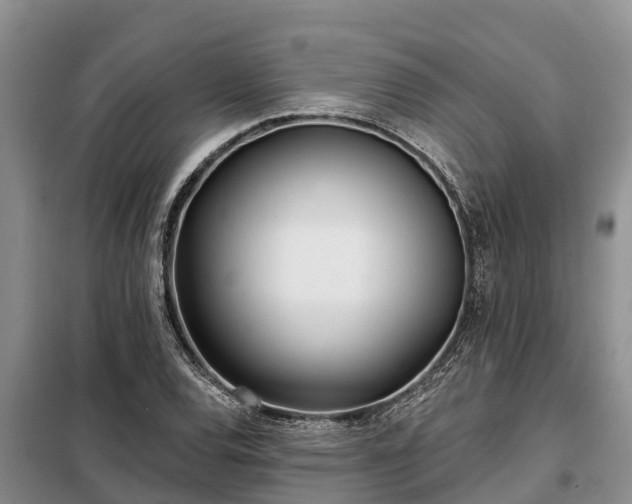 X0000099301120200805090948