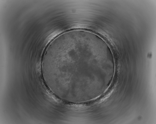 X0000099301121200805090948