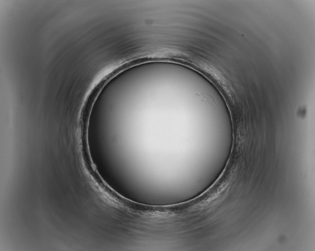 X0000099301122200805090948