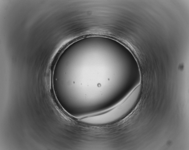 X0000099301123200805090948