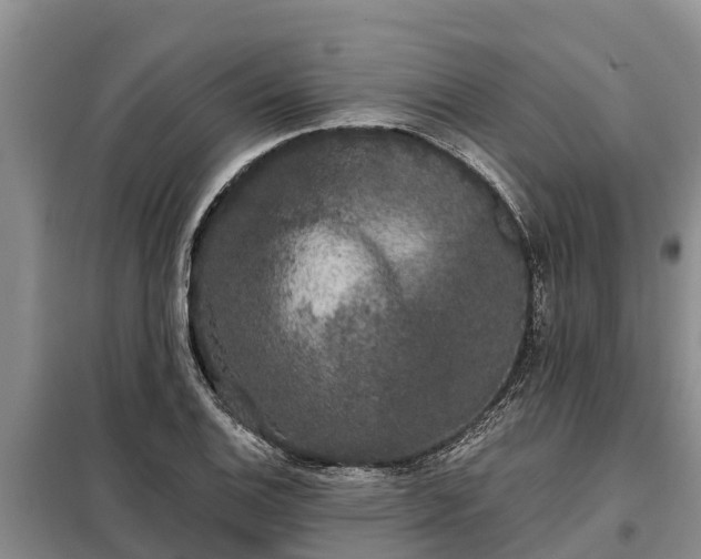 X0000099301124200805090948