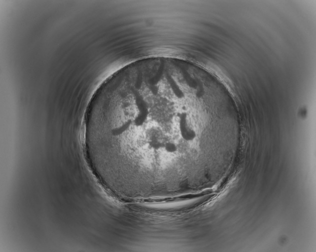 X0000099301125200805090948