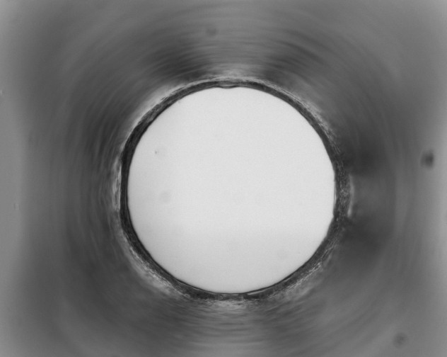 X0000099301126200805090948