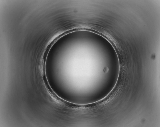 X0000099301127200805090948