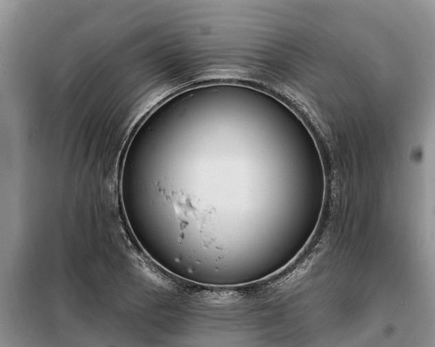 X0000099301129200805090948