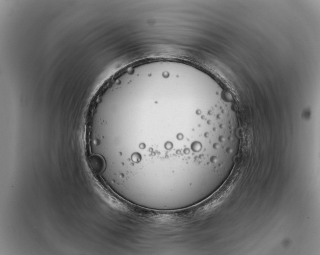 X0000099301130200805090948