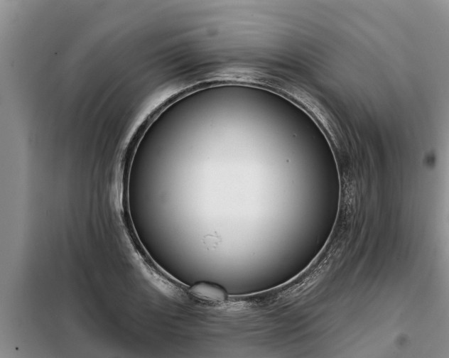 X0000099301131200805090948