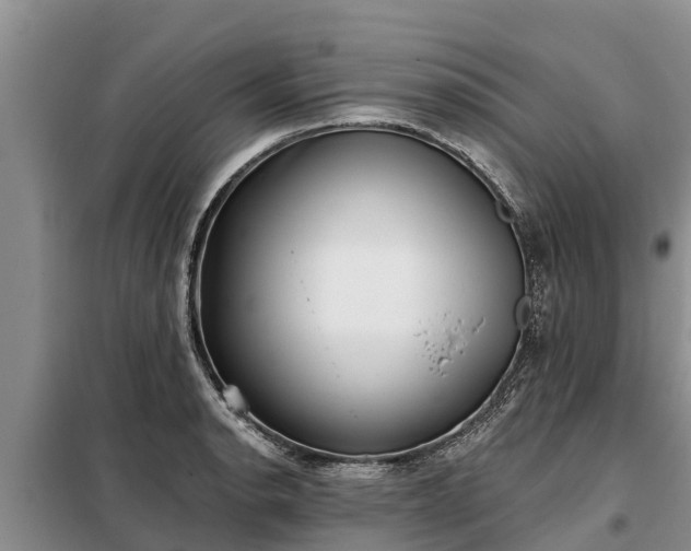 X0000099301134200805090948